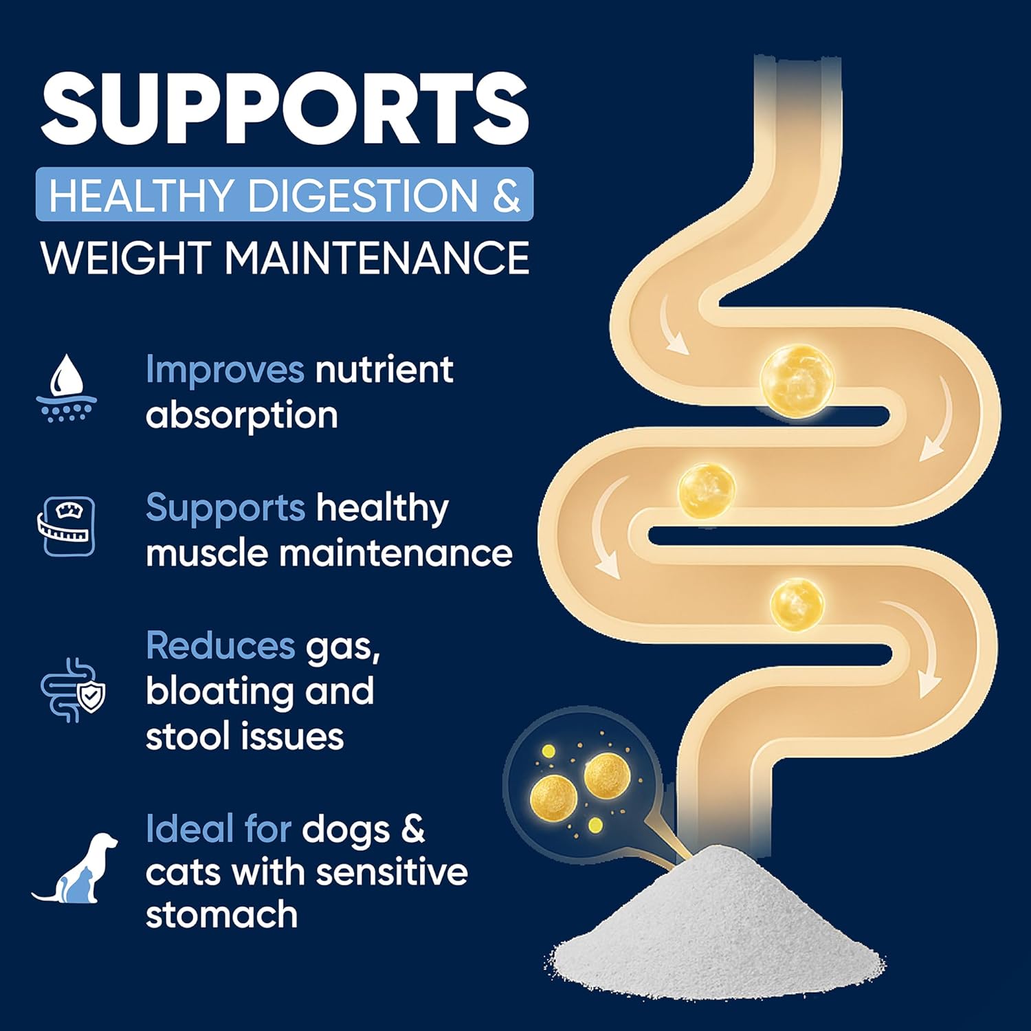 Pancreatin Digestive Enzymes | 10x Pancreatin