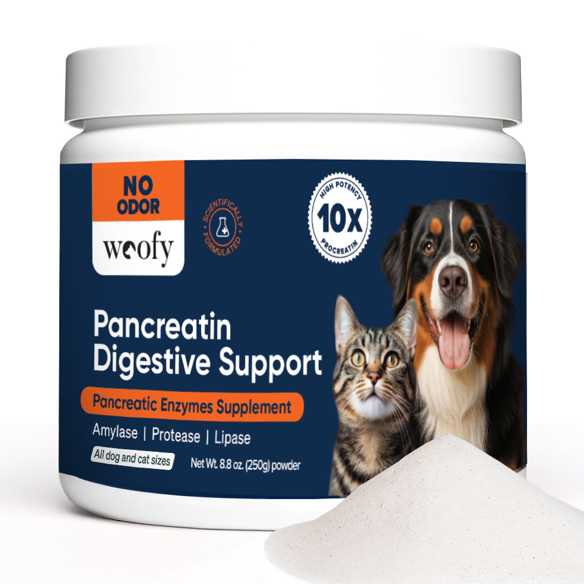 Pancreatin Digestive Enzymes | 10x Pancreatin
