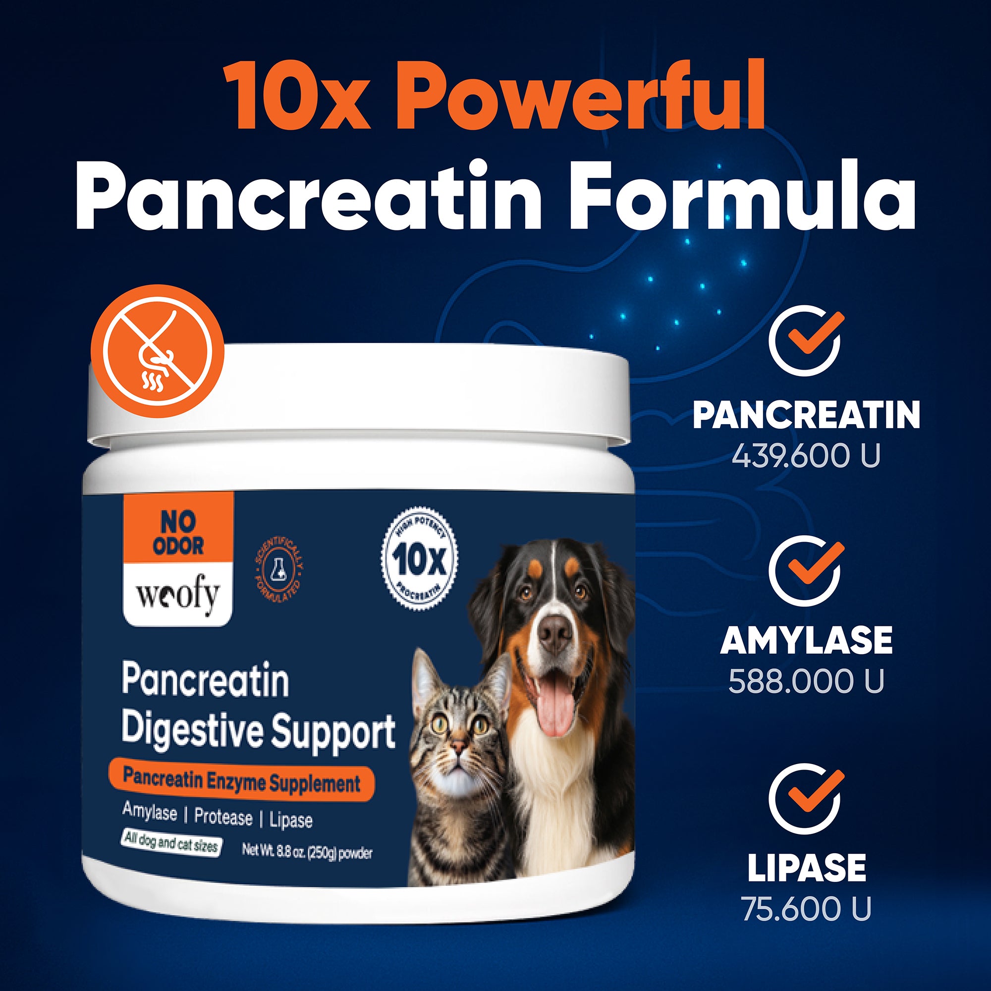 Pancreatin Digestive Enzymes | 10x Pancreatin